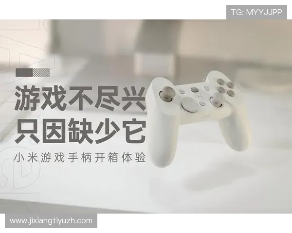 21点的游戏玩法介绍及不同版本的规则差异全面解析让你玩得更尽兴